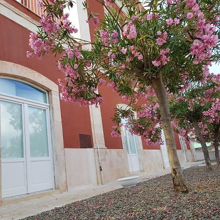 Dimora D'Amato Bed & Breakfast Grumo Appula Dış mekan fotoğraf